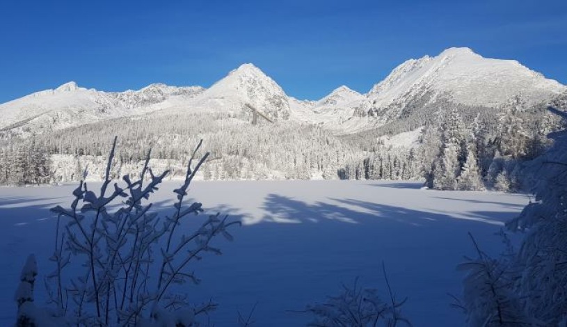 Hotel CROCUS **** Vysoké Tatry